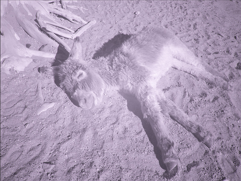 Blog352-figure1