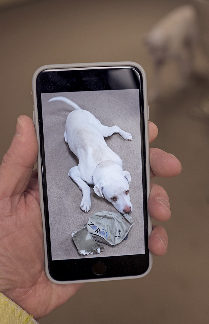 Newiphone-2
