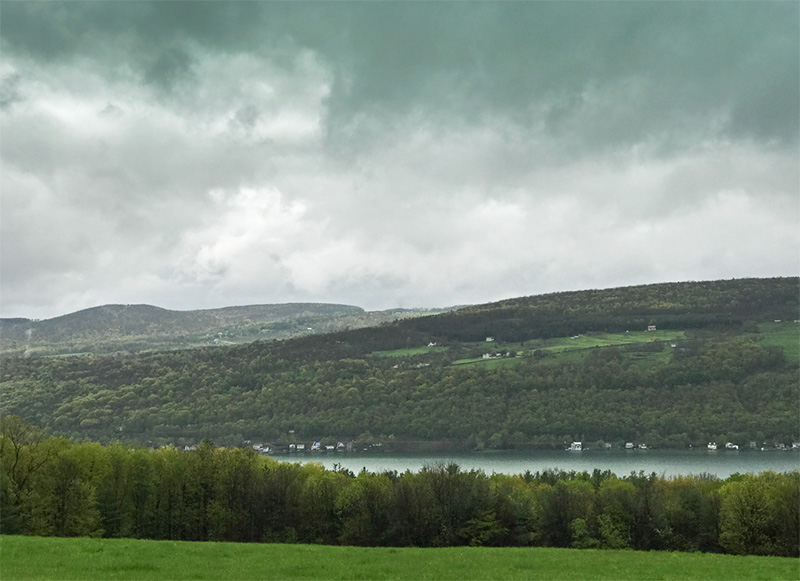 Keuka in the rain-2