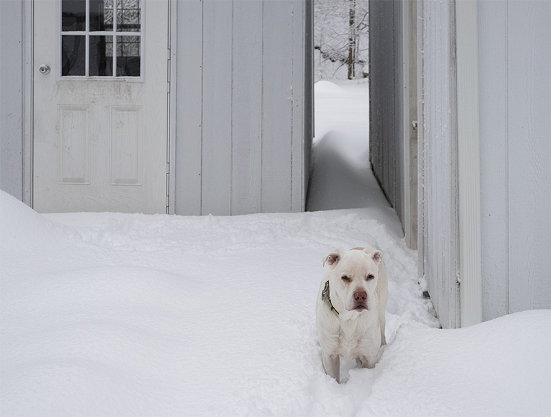 Butters snow-small