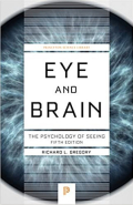 Eye and brain