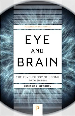 Eye and brain
