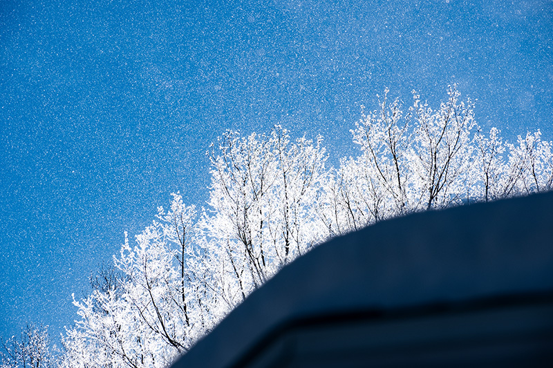 Ice trees