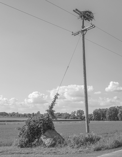 Osprey nest-carls trick-small-lighter