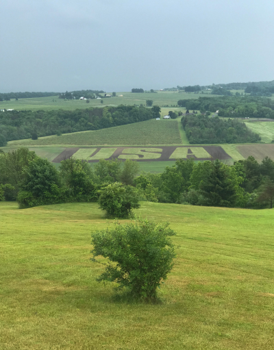 Patriotic field-2-small