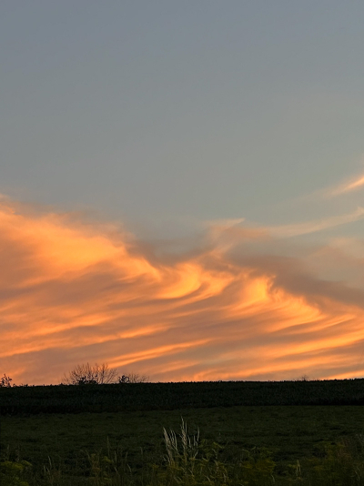 Pink cloud-small