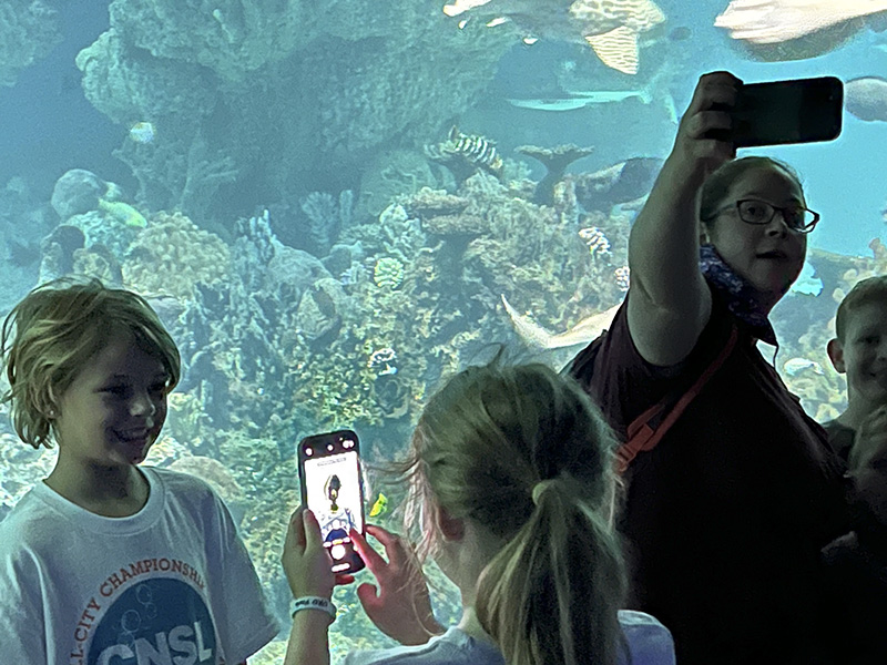 Aquarium random-small
