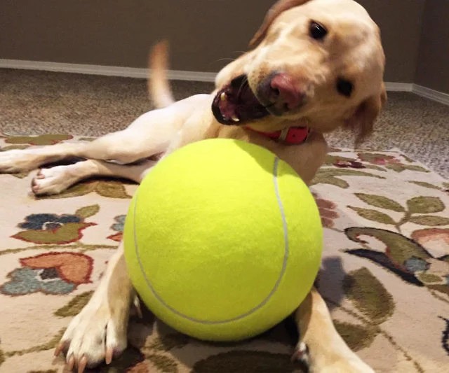 Giant-tennis-ball-640x533