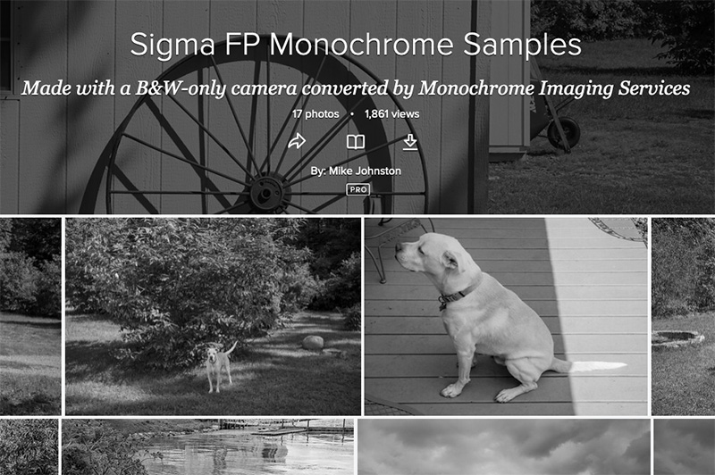 Samples header