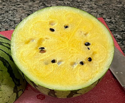 Yellow watermelon