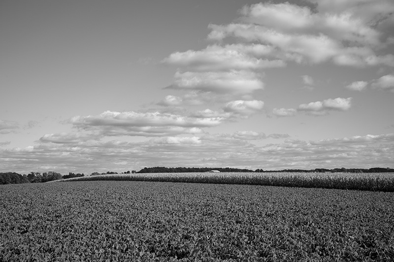 Barn roof-small