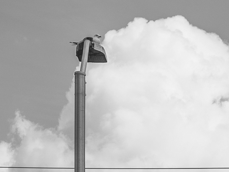 Parking lot detail-3