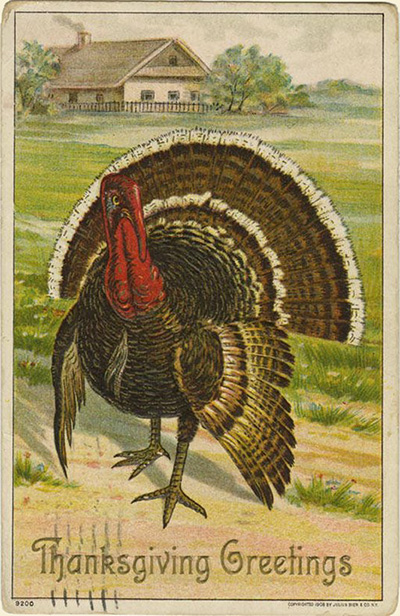 Thanksgiving_Greetings