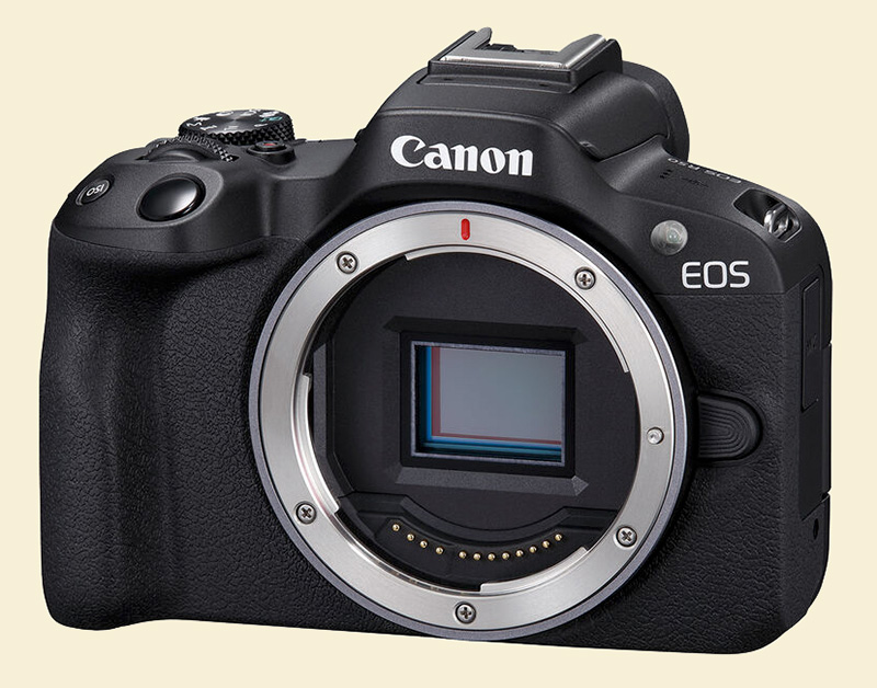 Canon r50