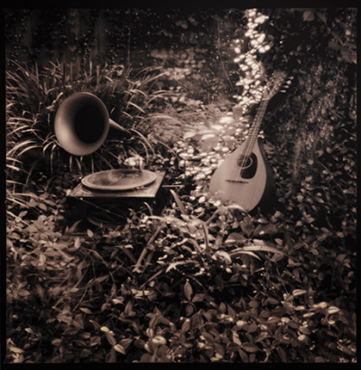 Darlene-pinhole