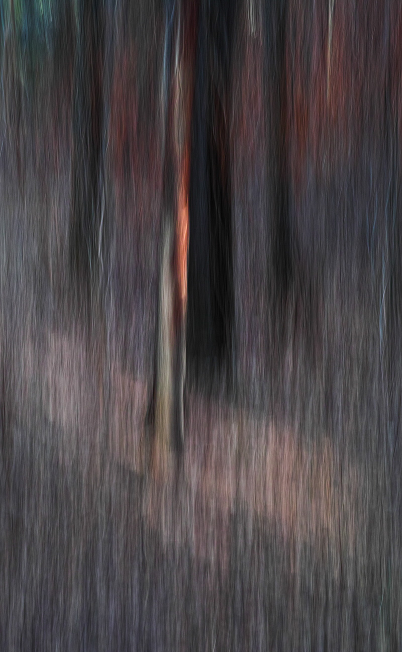 BDblur Collin J Orthner