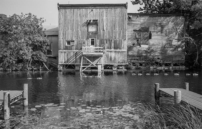 Geese outlet