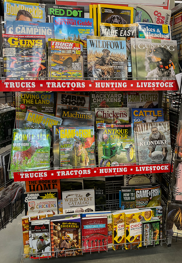 Magazines