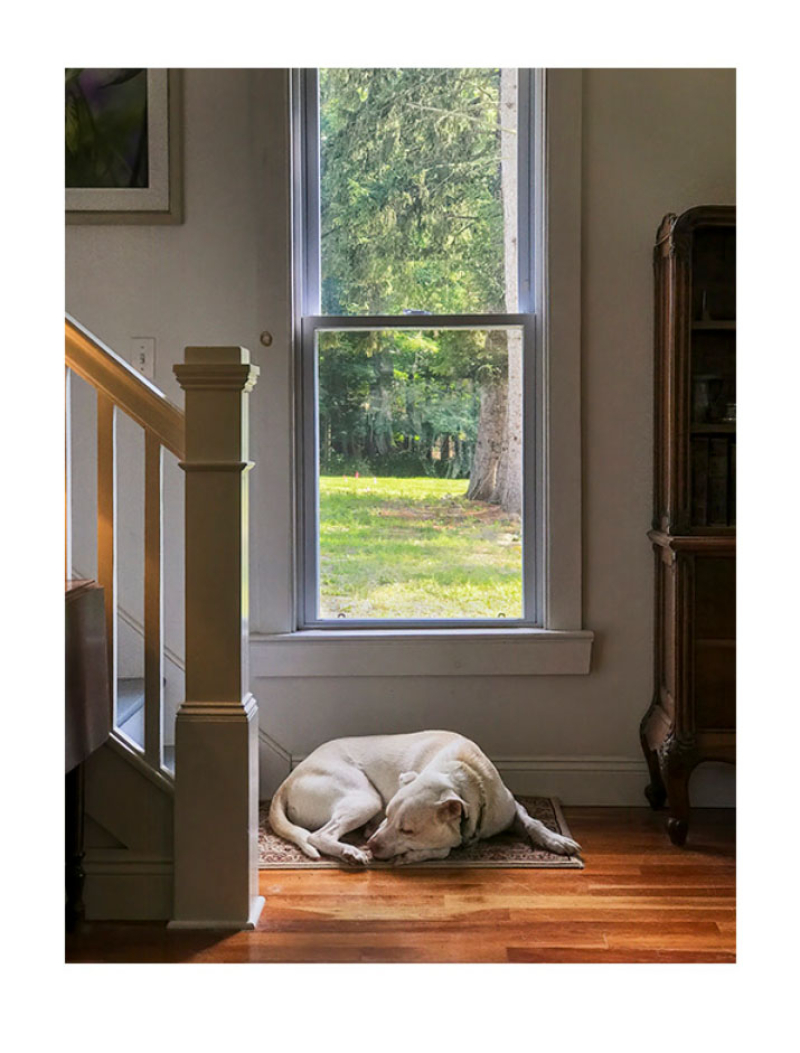 Butters by window