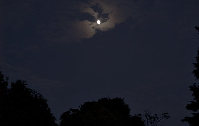 Waxinggibbous_3