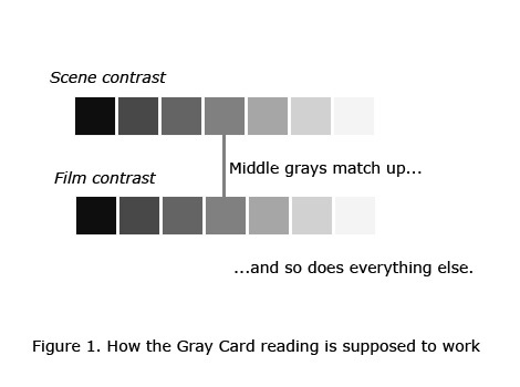 Worksheet1