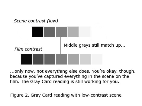 Worksheet2