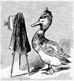 Viewfinderduck