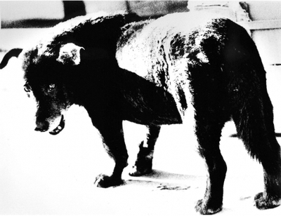 Moriyama