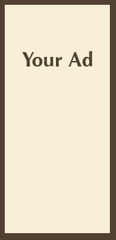 Adblank170x350