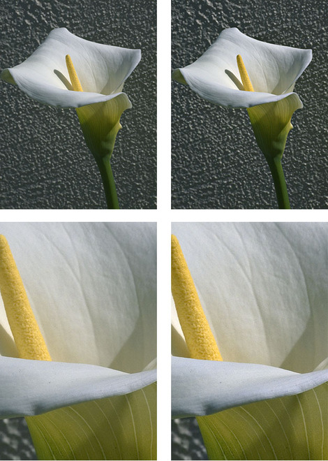 Blog35fig2