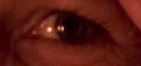 Picture_8
