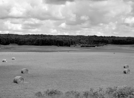 45neg64023small