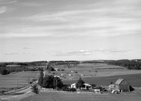 45neg035smaller