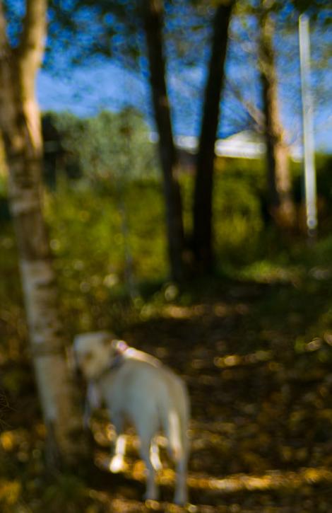 Picture_2