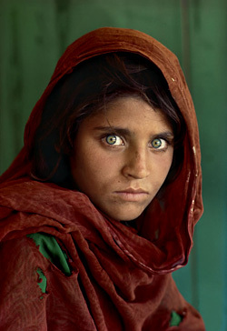 Stevemccurryafghangirl2