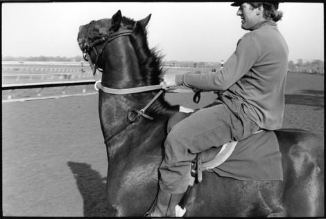 Keenelandweb