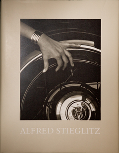 Wittigstieglitz_cover