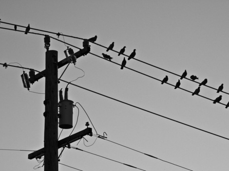 Blog46figure3