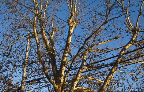 Blog46figure5