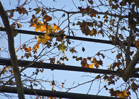 Blog46figure8