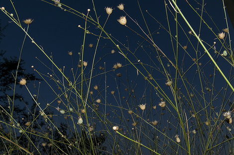 Picture_9