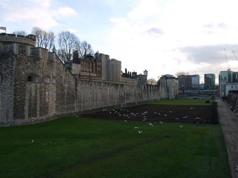 Tower_before