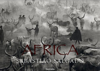 Salgadoafrica
