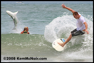 Picture_41