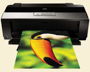 Epsonr1900