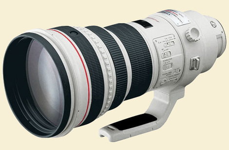 Stuffcanonis