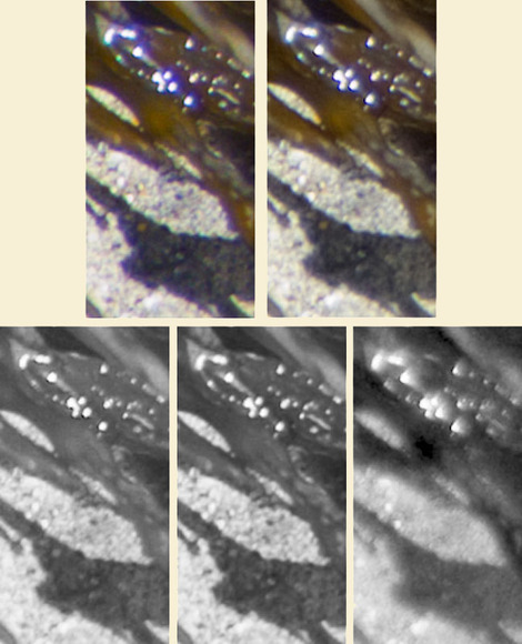 Blog74figure3