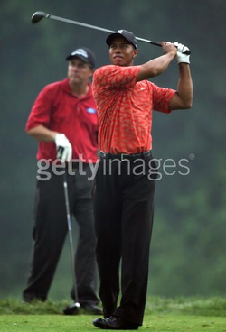 Picture_24
