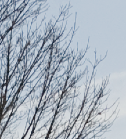 Picture_14
