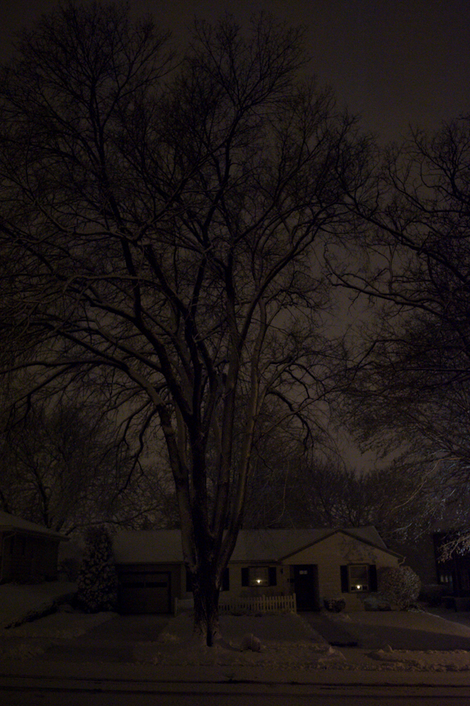 Picture_20